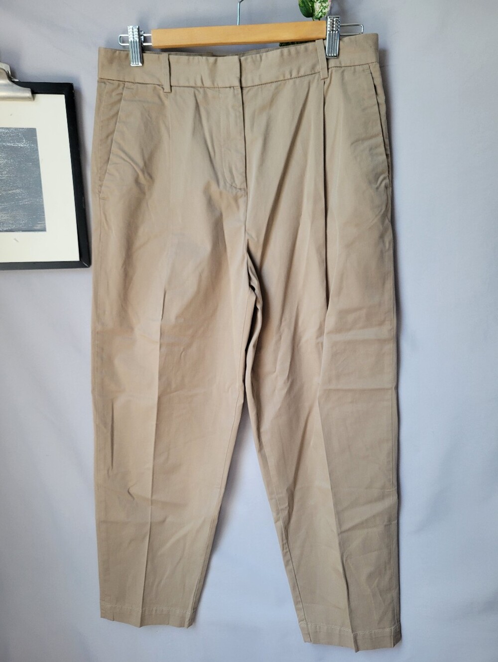 Everlane High Rise Pleated Front Chino Trouser Pants Tan 4